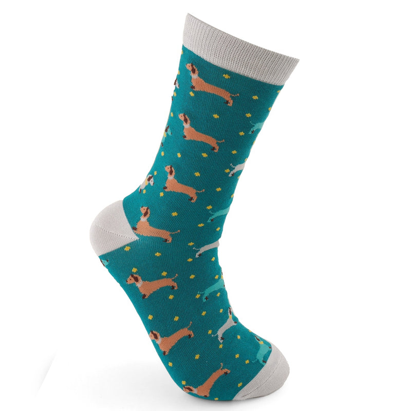 Sausage Dogs & Spots Teal Bamboo Socks