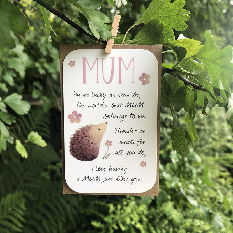 Mum Hedgehog Keepsake Card