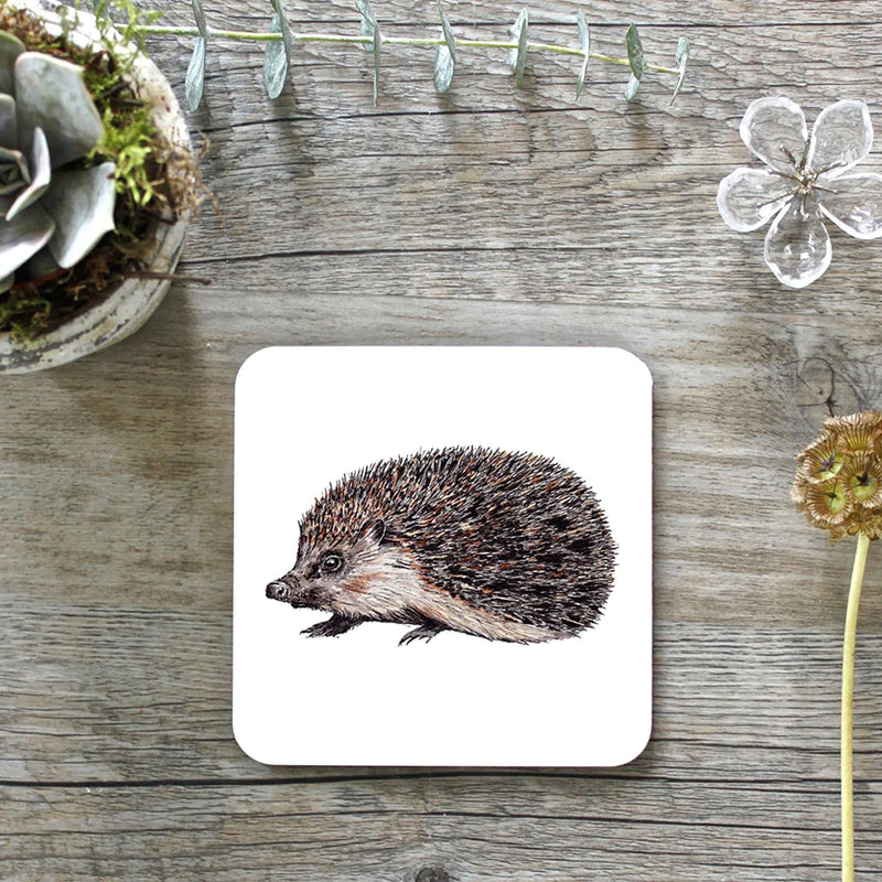 Hedgehog Coaster